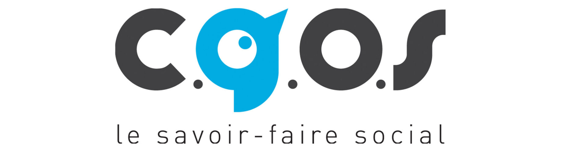 CGOS Centre Hospitalier Isarien